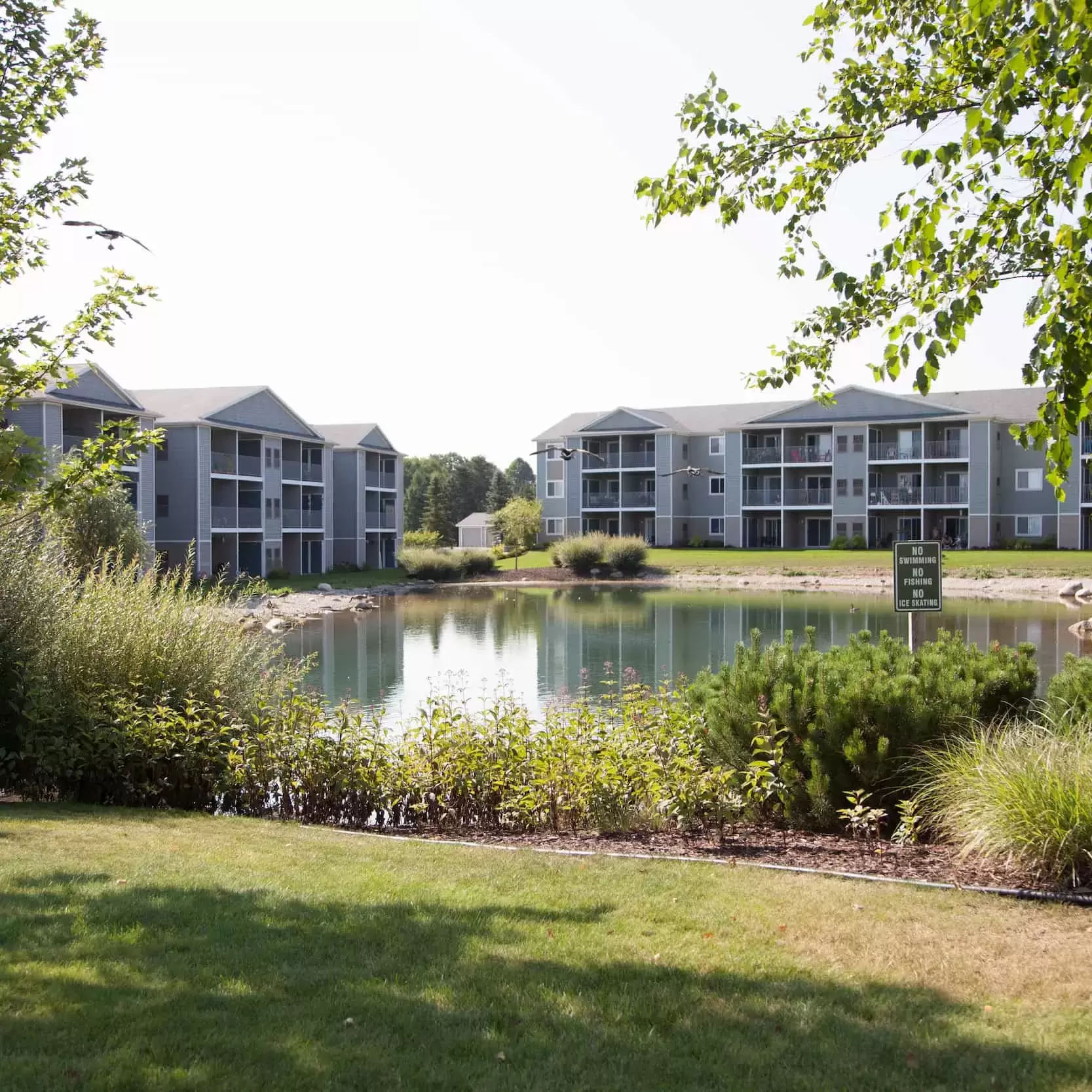 A pond surrounded by landscaped areas makes a lovely view in front of the Liv Arbors apartment buildings.