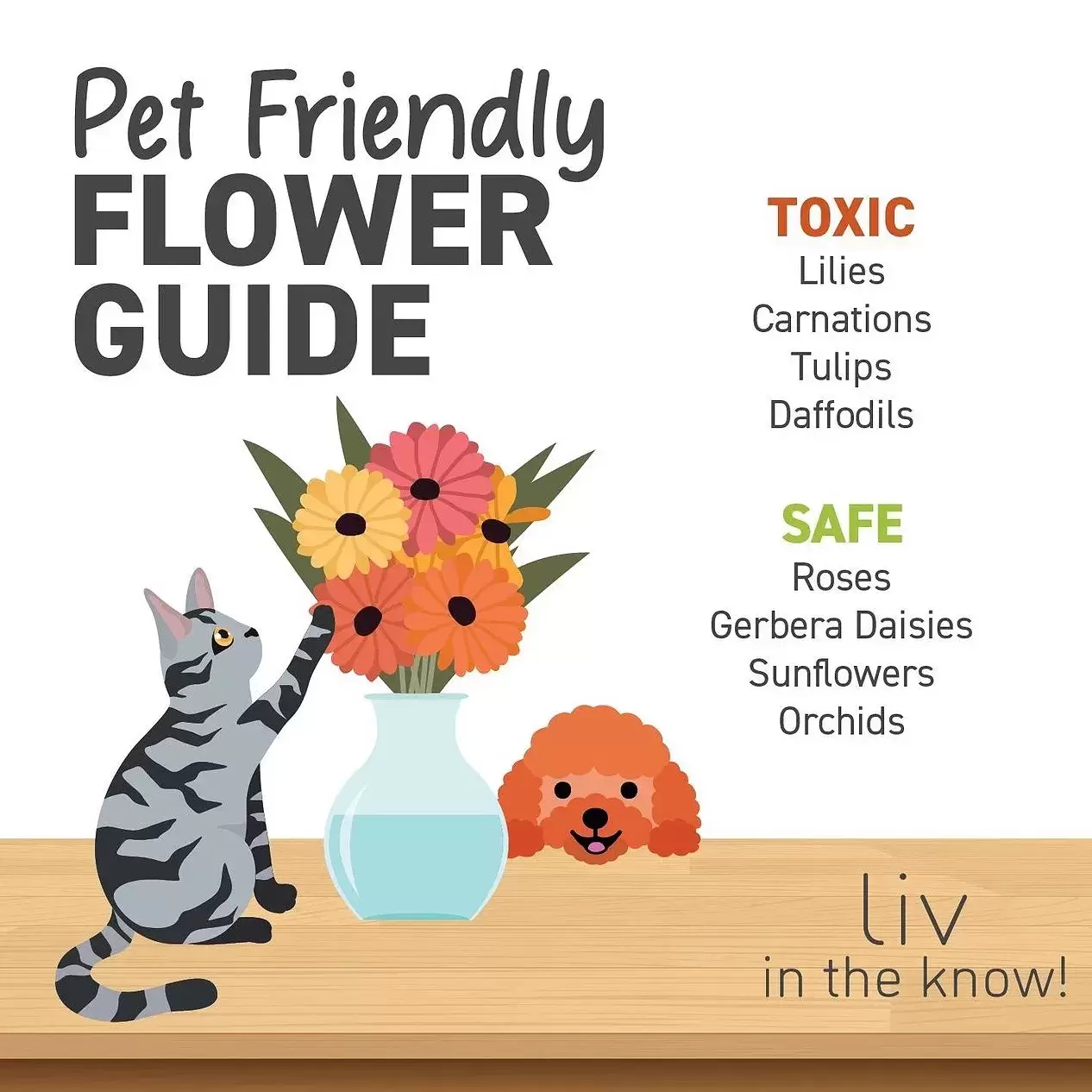 Love is in the air 💘 make sure you know which flowers are safe for your fur babies! #livintheknow #petsafeplants #seasonoflove