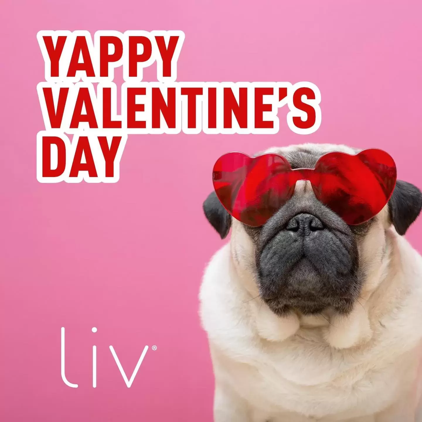 Happy Valentines Day! It's that time of year when we express our luv, appreciation, and kindness to those around us. Whether it's your besties, family, or significant other - make sure to take time to let them know how much they mean to you. 💗

 #livforluv #LivArbors #livlikenoother #valentines2024