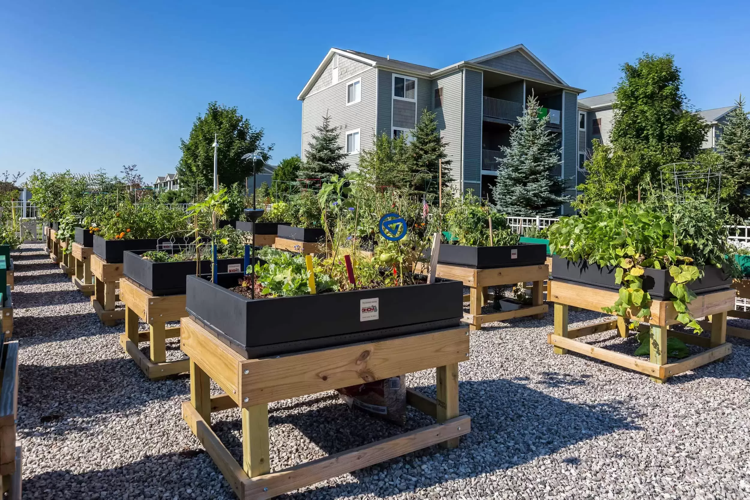 A dozen raised garden beds, each growing a different type of plant.